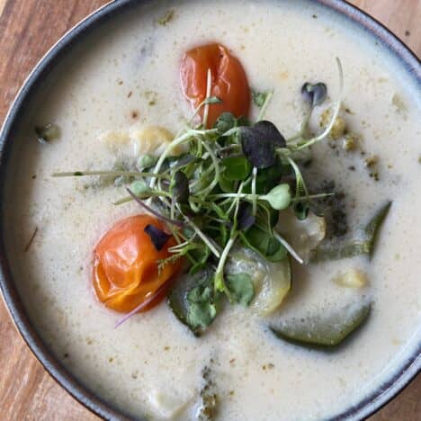 Primavera Garden Soup