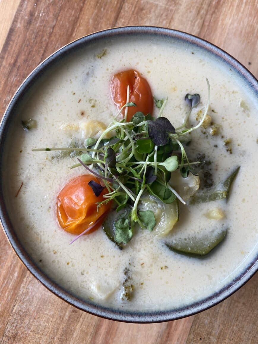 Primavera Garden Soup