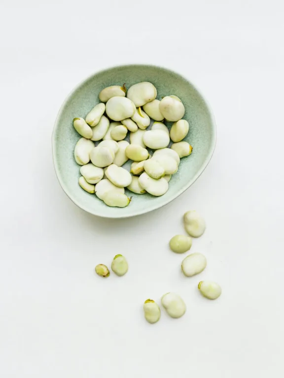 Organic beans prepared for optimal digestion at Busy Bee Organics
