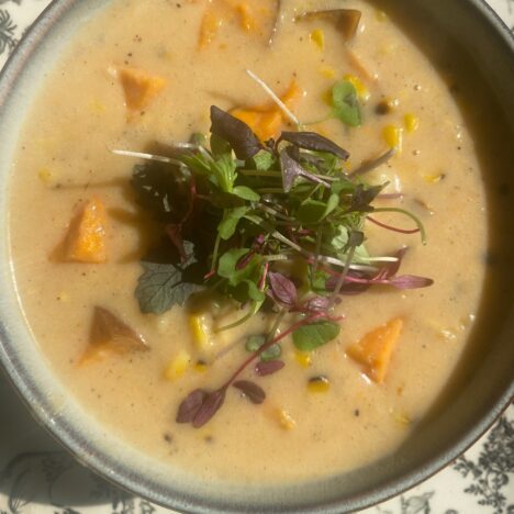 Summer Corn Chowder